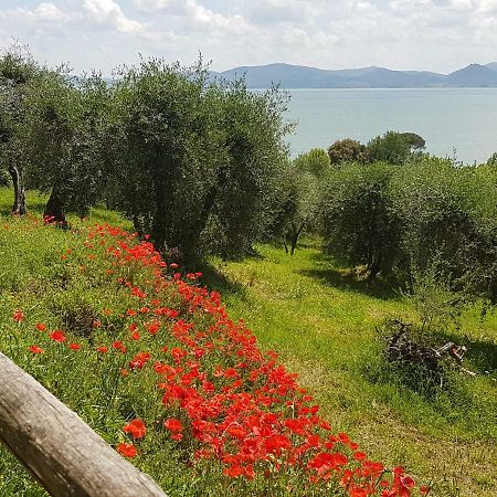 فندق Antica Casa Di Famiglia كاستيغليون ديل لاغو المظهر الخارجي الصورة