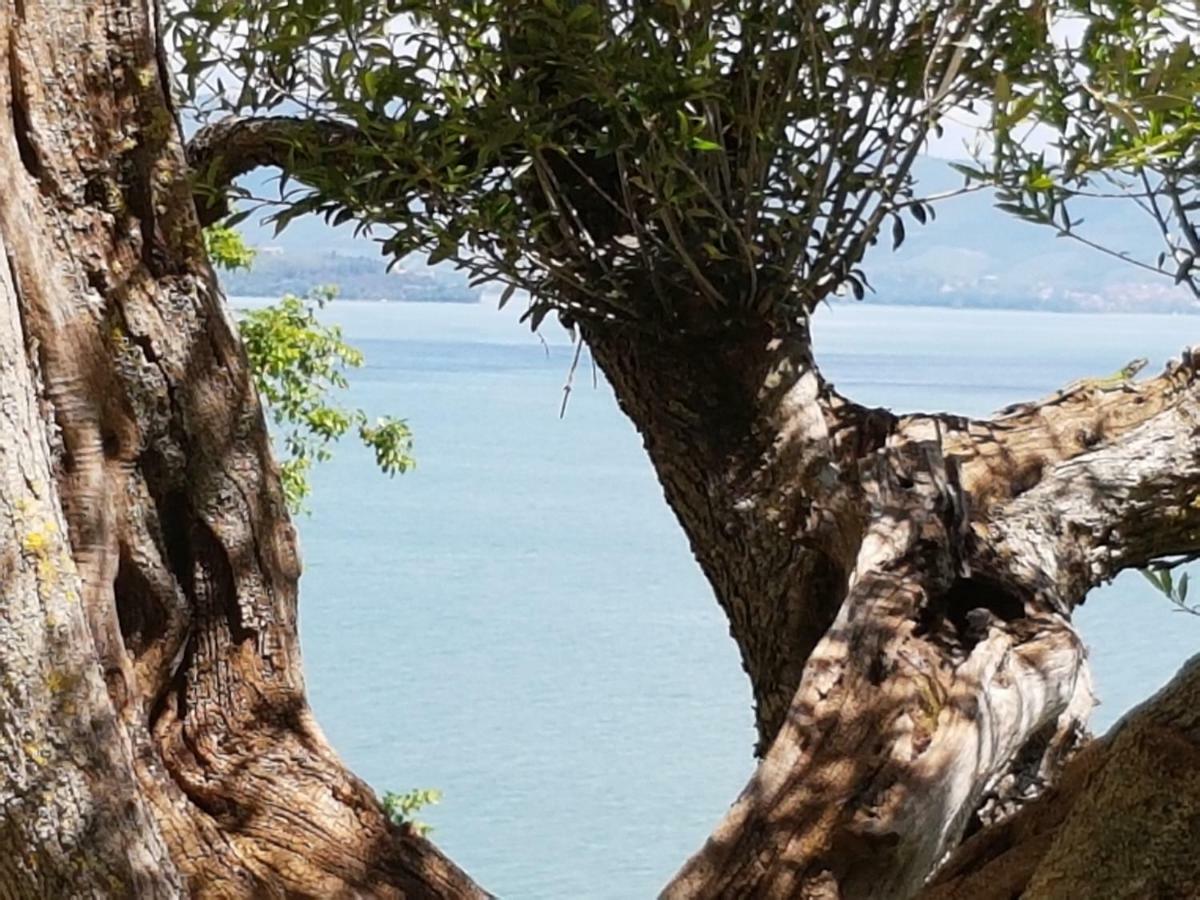فندق Antica Casa Di Famiglia كاستيغليون ديل لاغو المظهر الخارجي الصورة