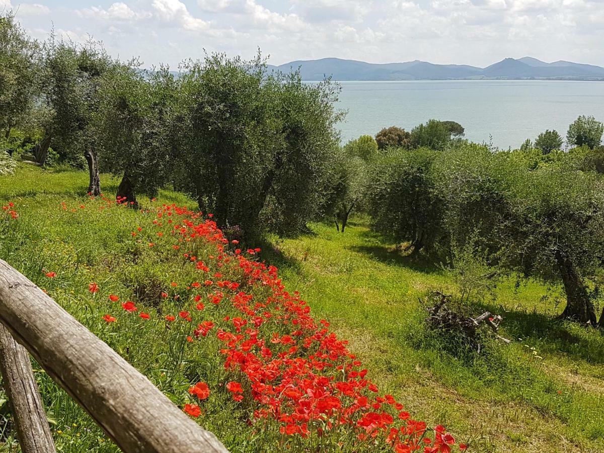 فندق Antica Casa Di Famiglia كاستيغليون ديل لاغو المظهر الخارجي الصورة